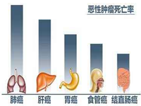 现代肿瘤医学（共45套打包）